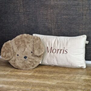 Velvet kussens met naam
